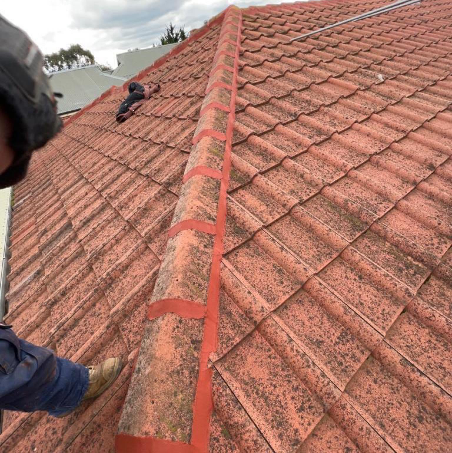 Ridge Tile Repointing